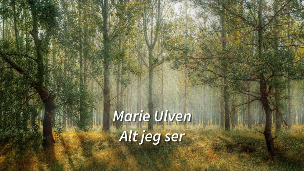 Marie Ulven - Alt jeg ser - sangtekst / lyrics video (+ English translation)