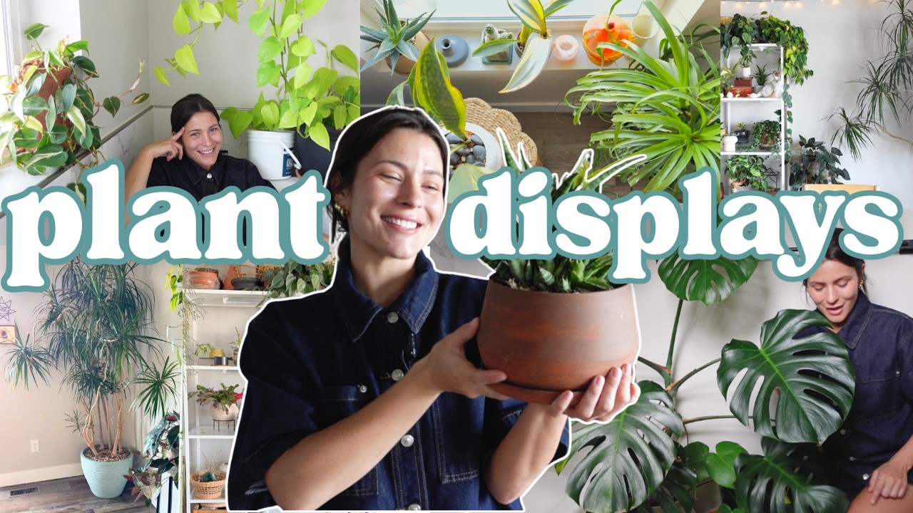 The Plant Setups That Make My Home Look Like a Jungle