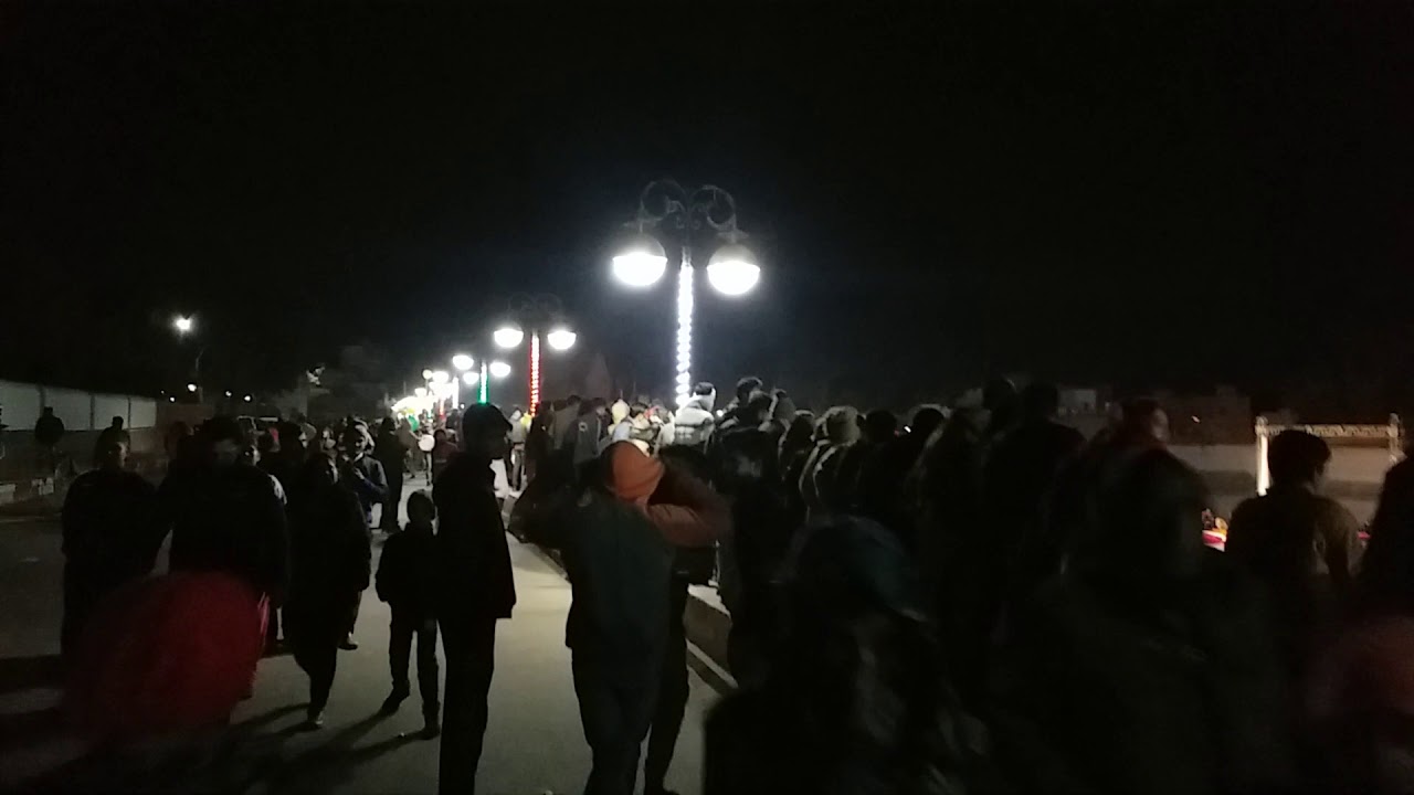 International camel festival sursagar lake 2020(1)