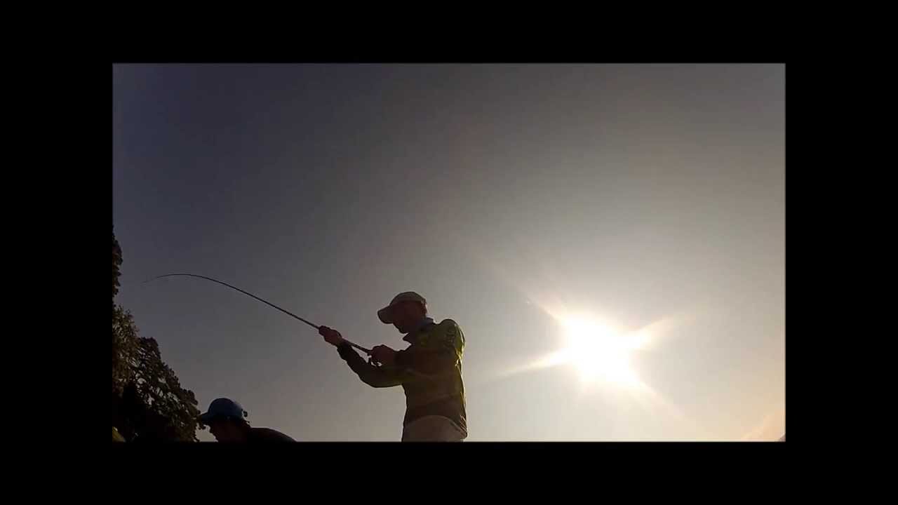 evobowhunter: bass fishing lake guntersville day 2