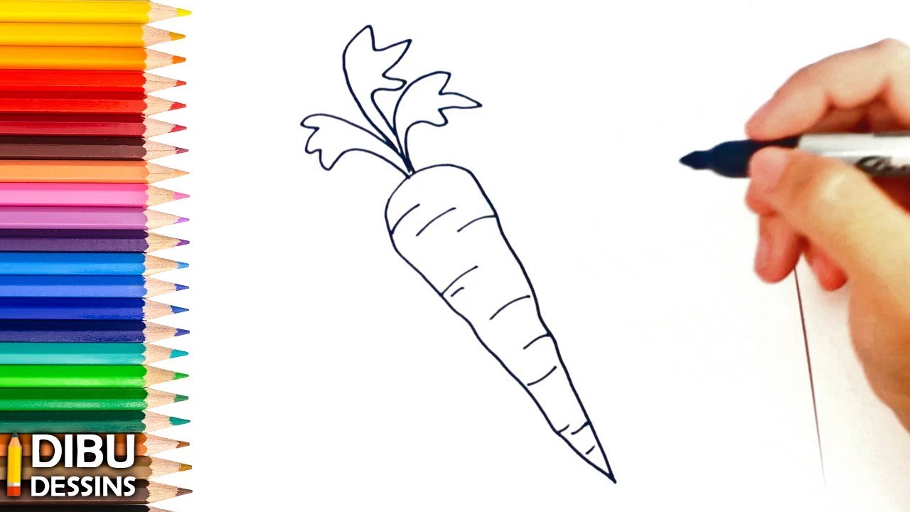 Comment dessiner une Carotte | Dessin de Carotte