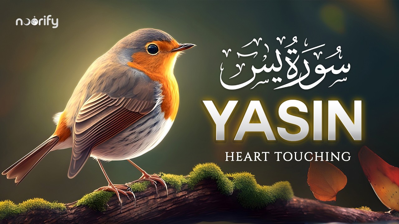 Surah Yaseen سورة يس | Relaxing & Soothing Quran for Deep Sleep, Healing & Protection #quranforsleep