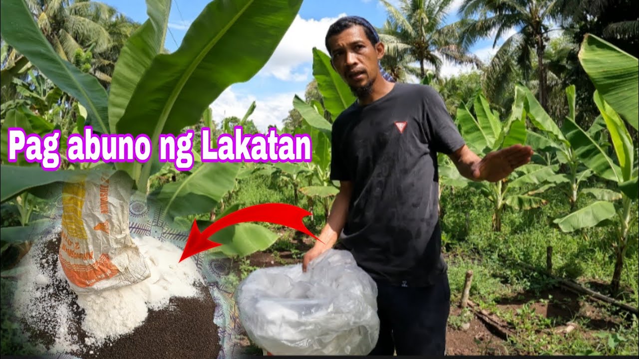 PAG ABUNO NG LAKATAN