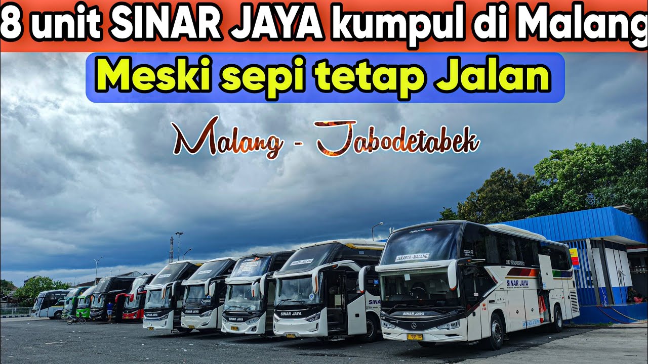 ARJOSARI TERKINI‼️8 UNIT SINAR JAYA TETAP JALAN MESKI SEPI PENUMPANG