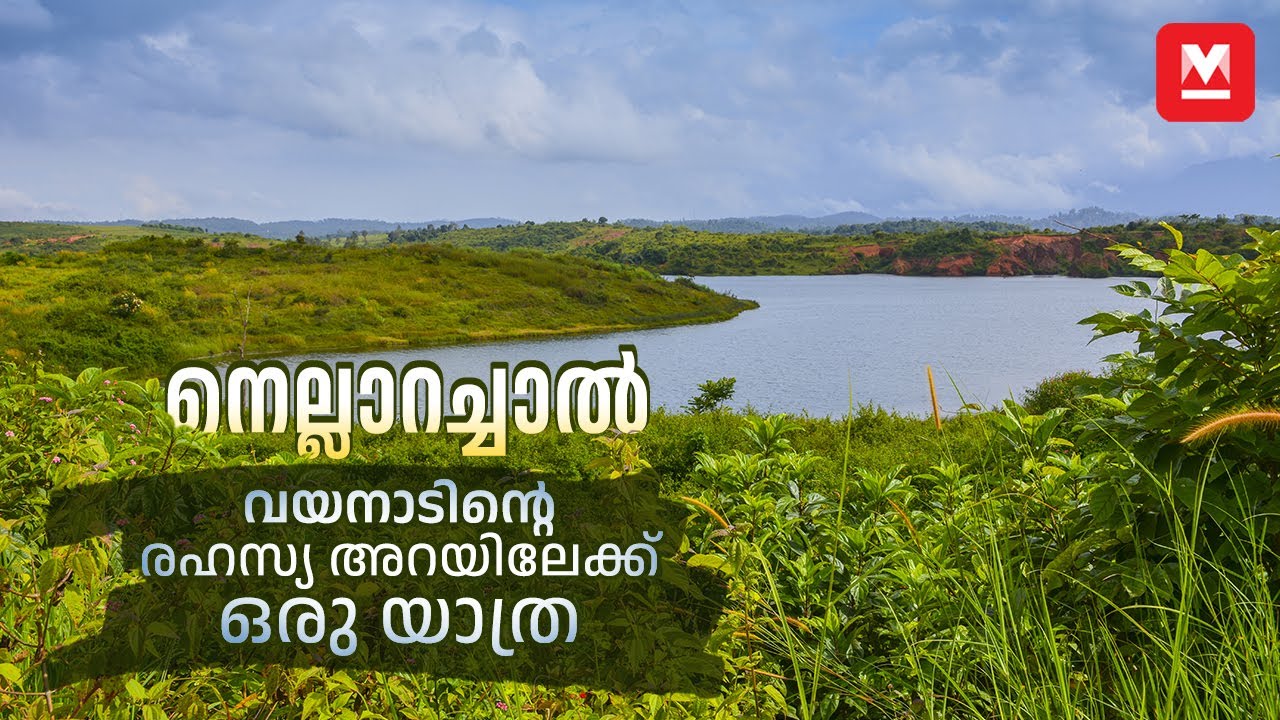 വയനാടിന്റെ രഹസ്യ അറയിലേക്ക്... | Nellarachal View Point Wayanad | Tourist places wayanad