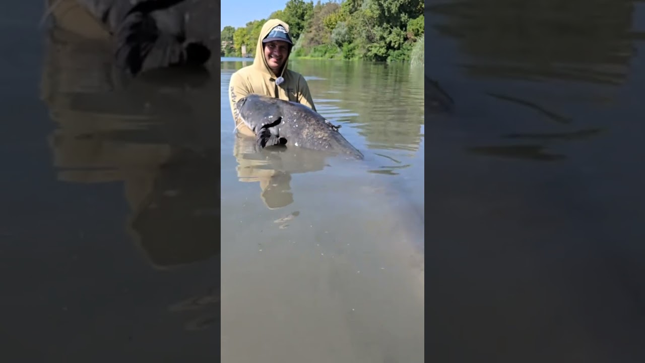 Real River Monster! Giant Catfish Caught on Camera #fishingusa #fishing #bigcatch #monsterfish