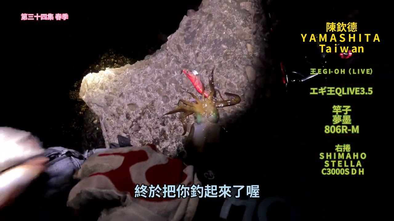 使用的餌木YAMASHITA為紅色的顏色  YAMASHITA釣手