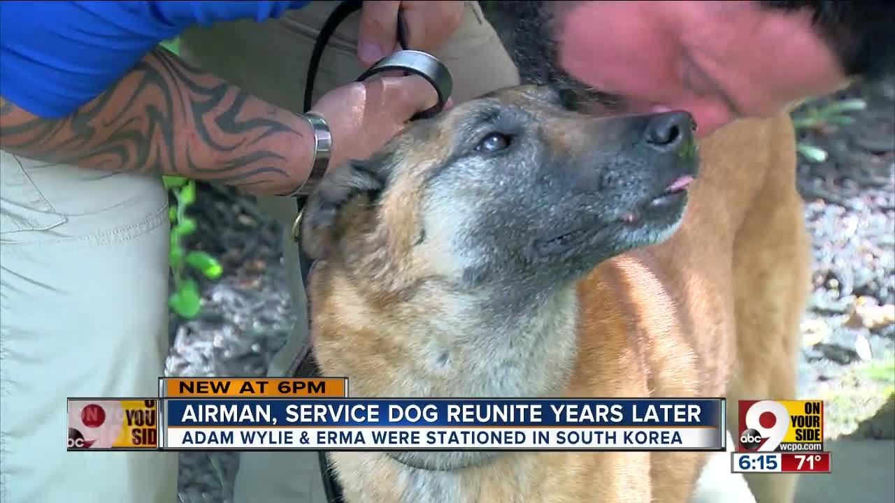 Airman, service dog reunite years later