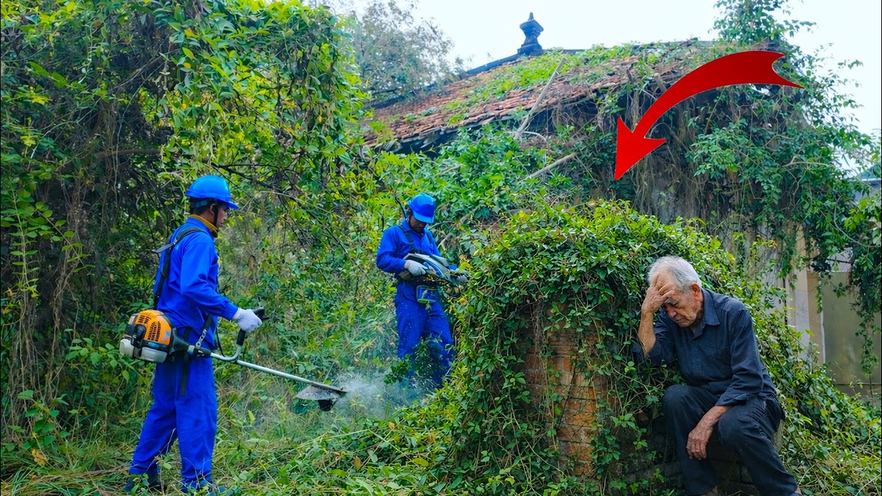 Time-Lapse: Clearing the Haunted Old House – The Truth Revealed After Years of Neglect! 🌿