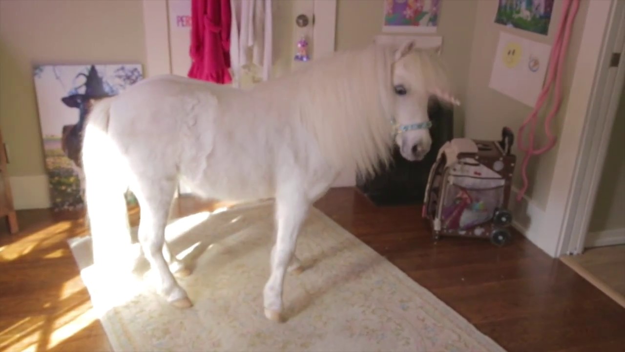 Uni The Unicorn Official Video Sneak Peek