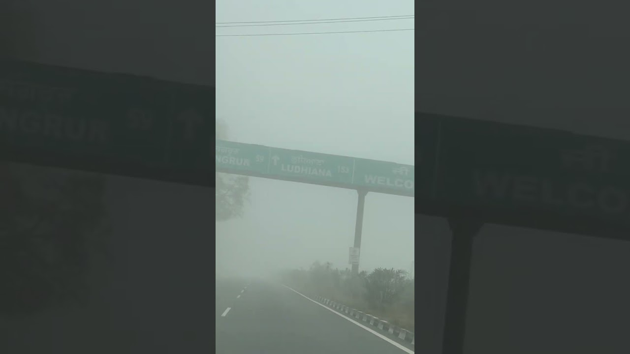 Very dense Fog in Punjab #ytshorts #reels #punjab #shorts