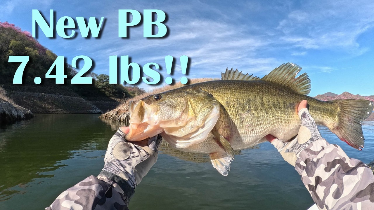 Baccarac Fishing 2026 Day 2