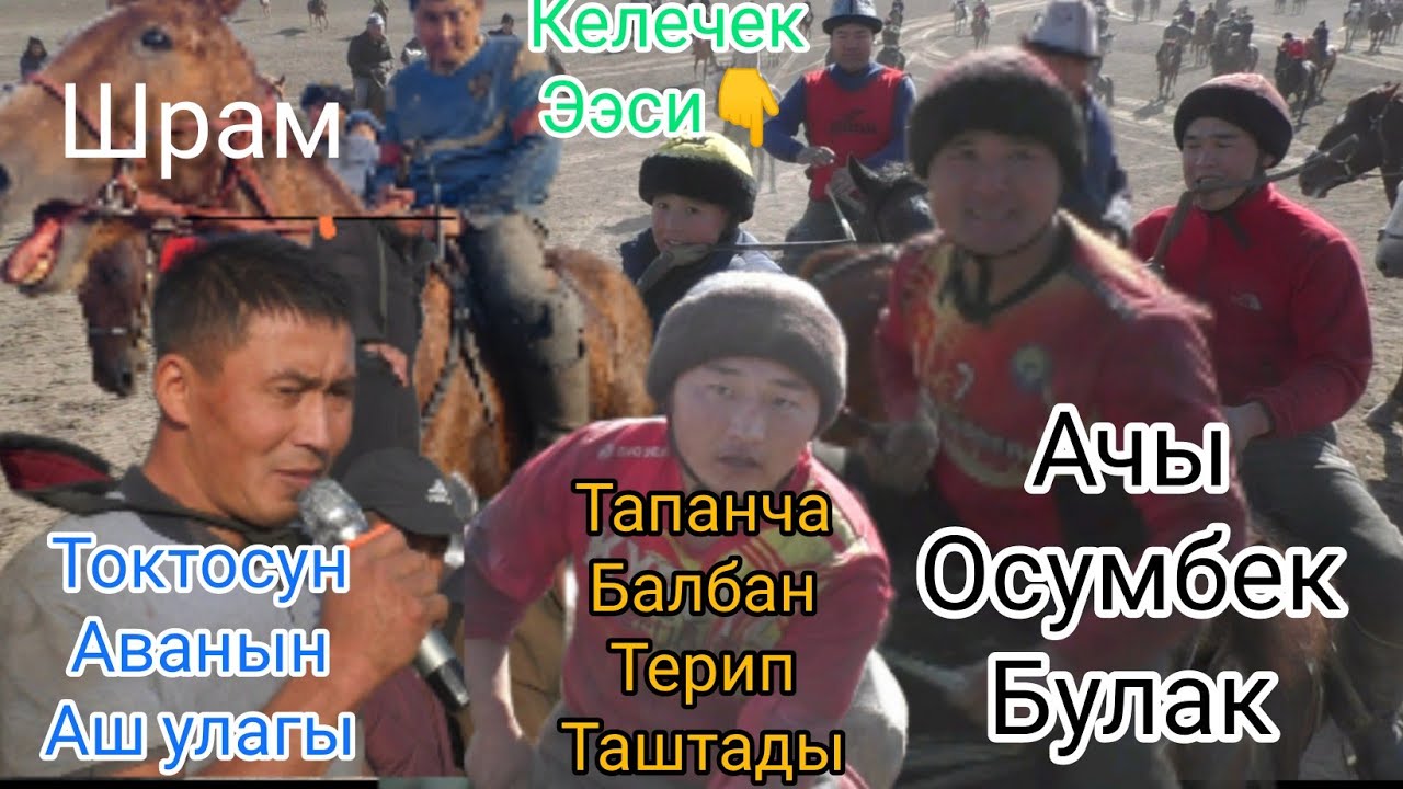 Токтосун аванын АШ улагы