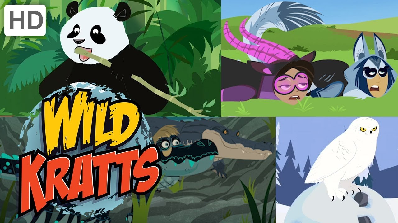 Wild Kratts 🐺🐼 Exploring the Animal Kingdom 🐊🦉 Kids Videos