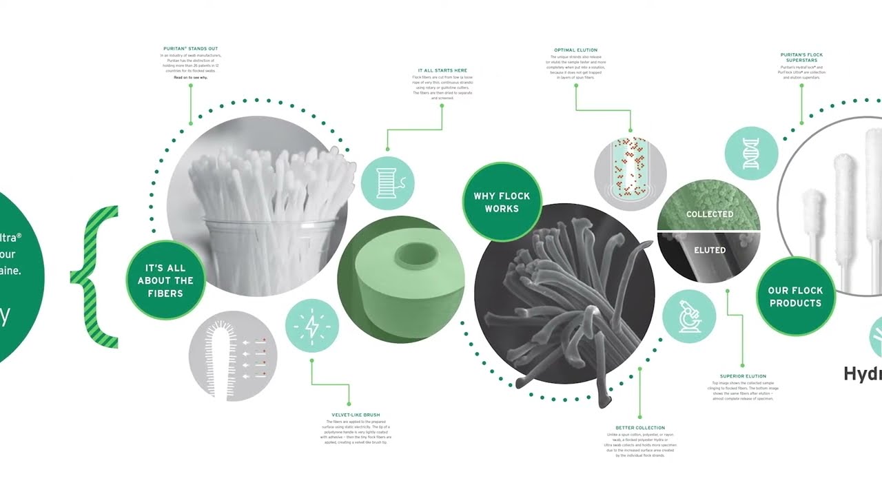 What Is Flock? Inside Puritan’s Flocked Swab Manufacturing Process