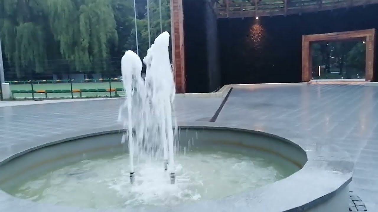 komora solna