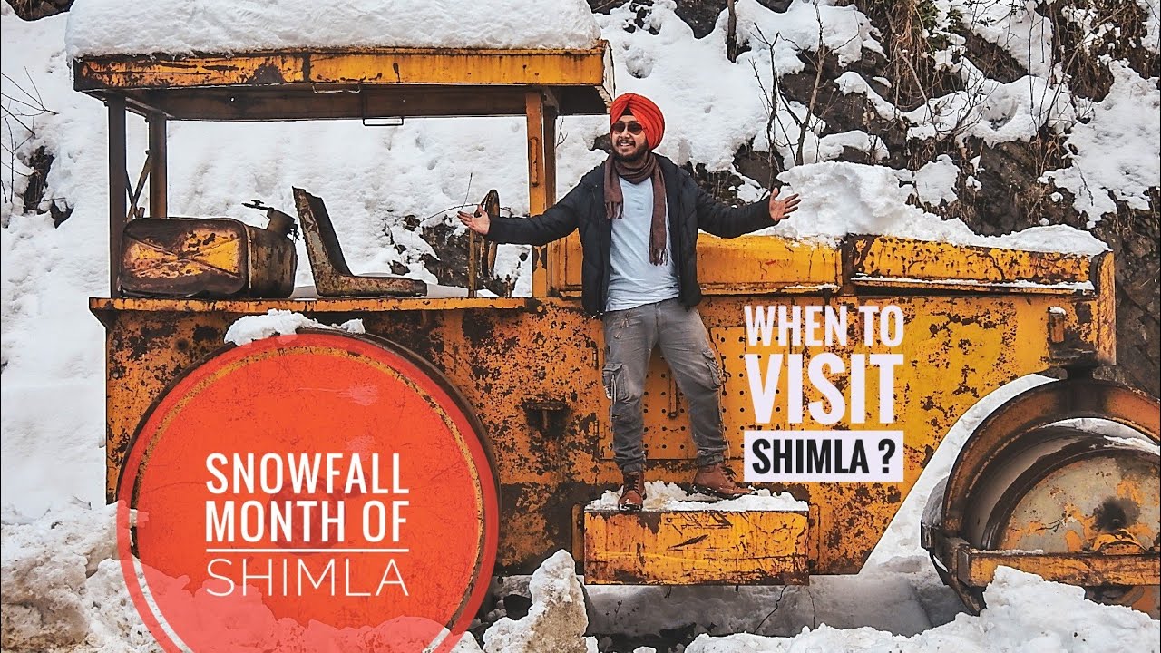 IT'S SNOWFALL TIME IN SHIMLA ! 😍😍 2019 Latest snow !