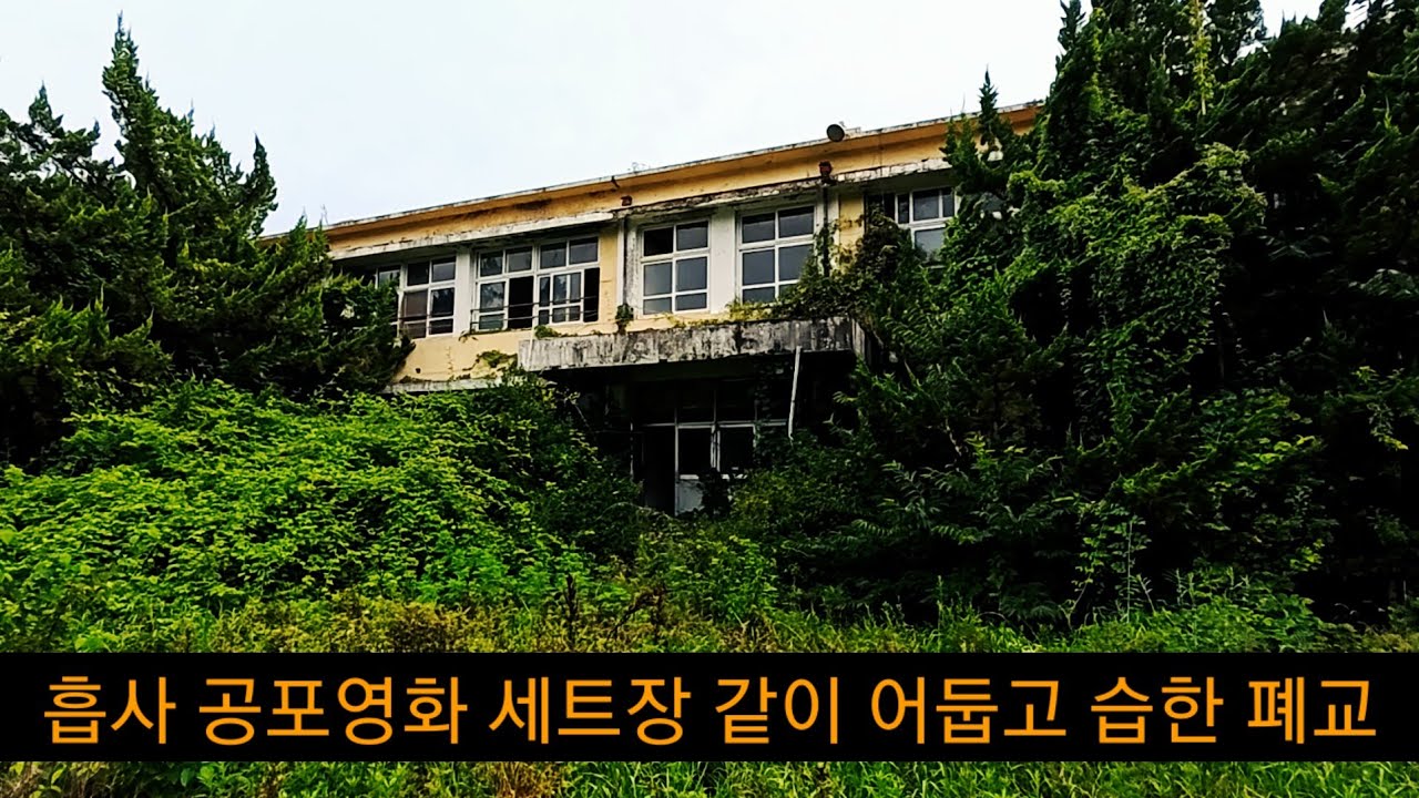 한적한 시골, 20년 가까이 버려진 폐교에 들어가 보았다