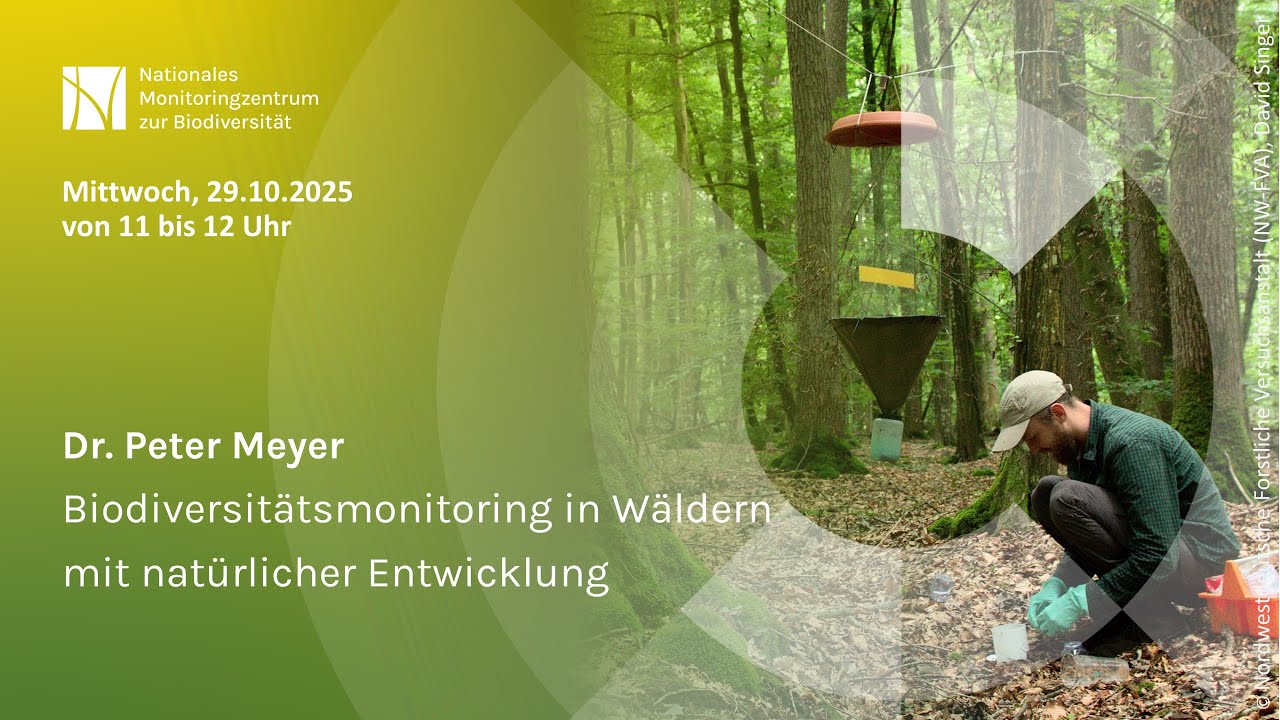 Biodiversitätsmonitoring in Wäldern mit natürlicher Entwicklung