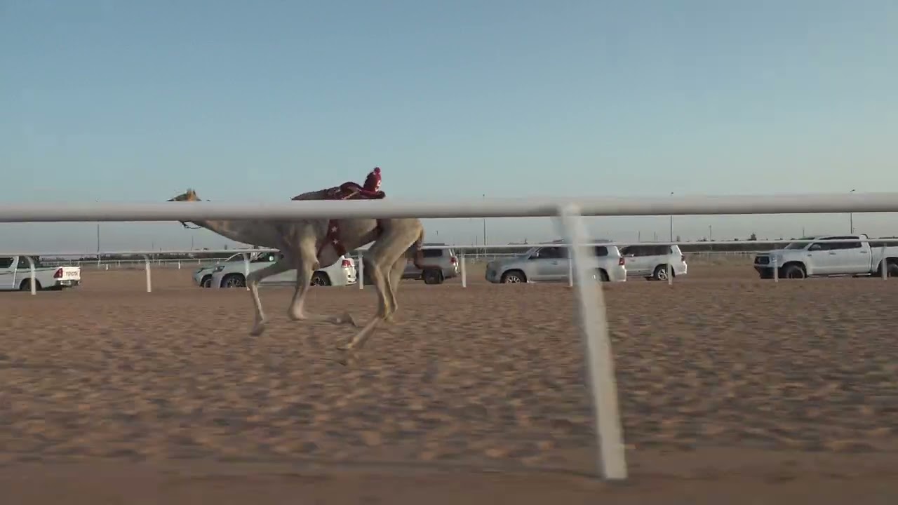 ش1الرئيسي مكس ثنايا و حيل سرابه ل زياد حامد البلوي