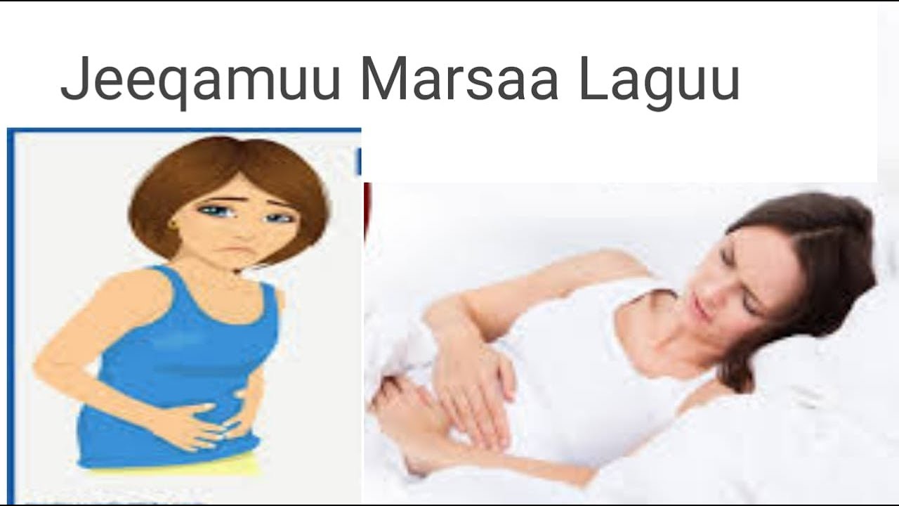 Jeeqamuu marsaa laguu fi furmaata isaa!