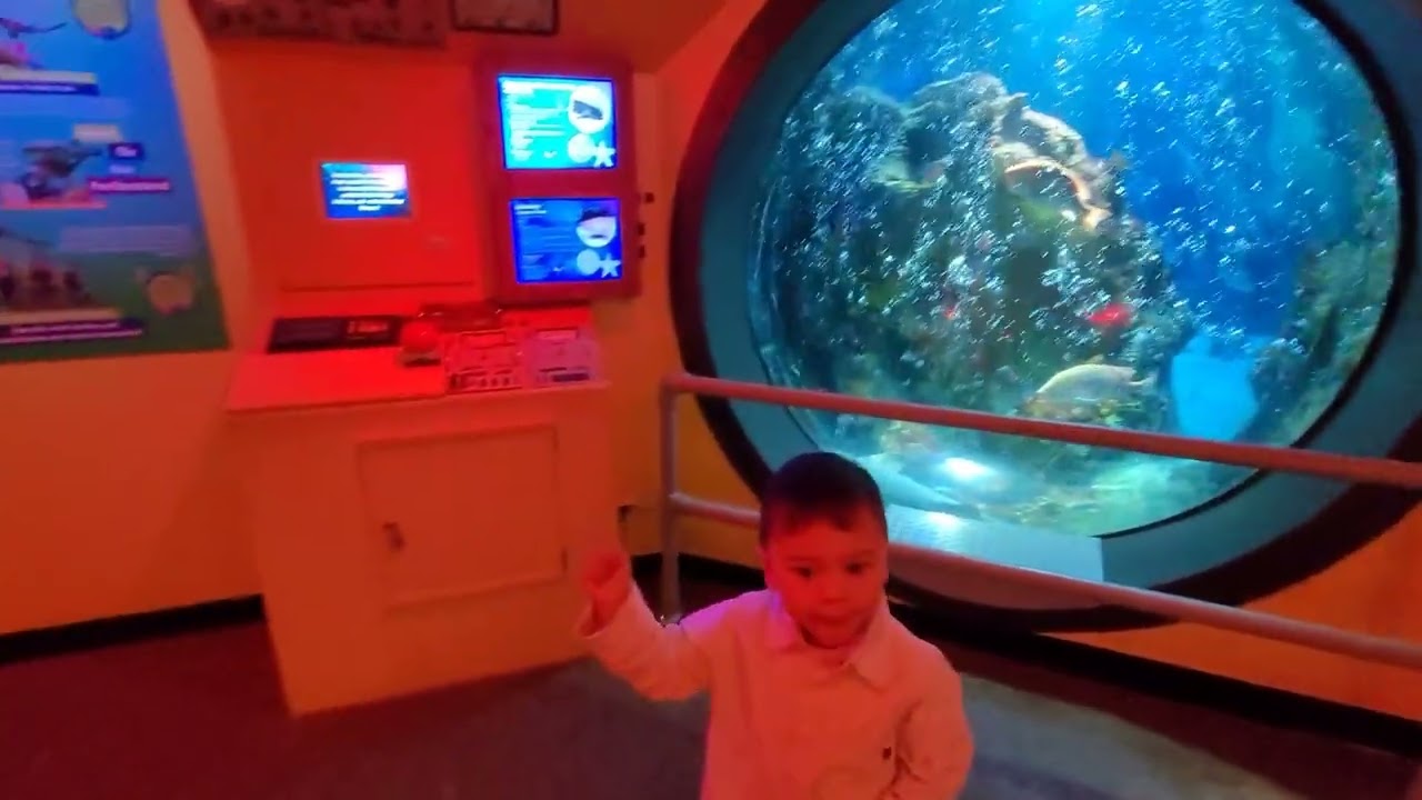 Sea Life Oberhausen