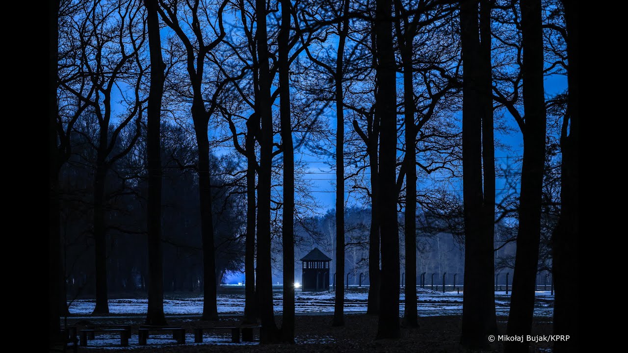 81. rocznica wyzwolenia więźniów Auschwitz–Birkenau