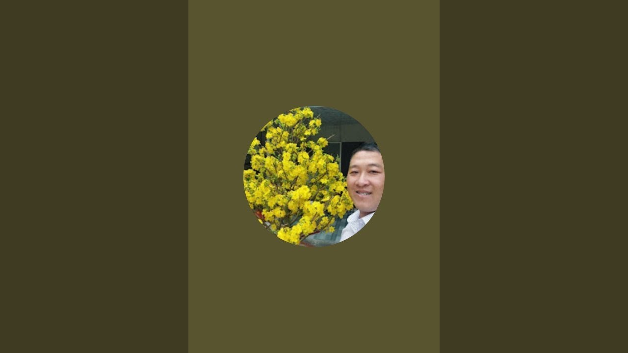Trần Trao Mai Vàng đang phát trực tiếp!