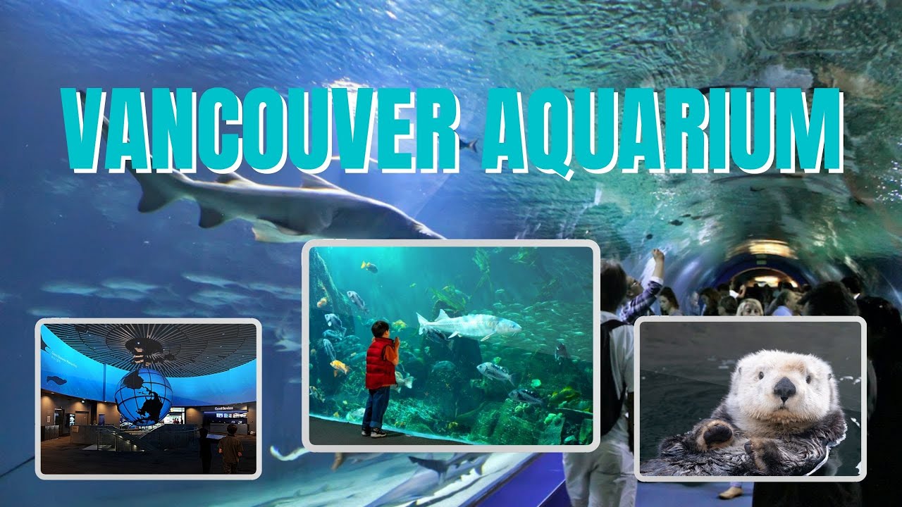Vancouver Aquarium | Renowned 2022