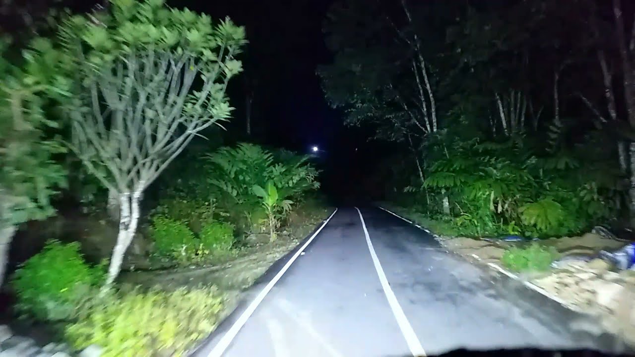 perjalanan masuk loksado kandangan batulicin di hutan pakai lampu tembak sorot mata 16 mata 5