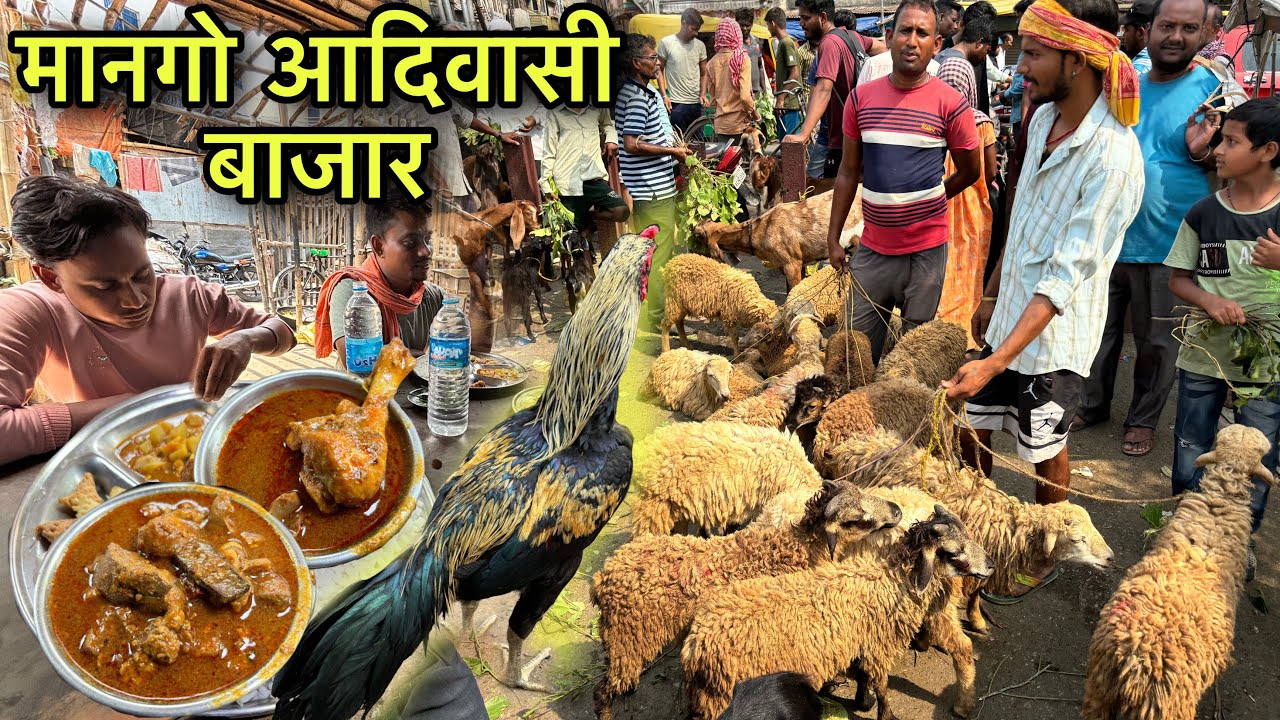 मानगो आदिवासी बाजार | भेडा बकरा मुर्गा का मेला लगता यहाँ | Village Tribal Market | Chicken Recipe
