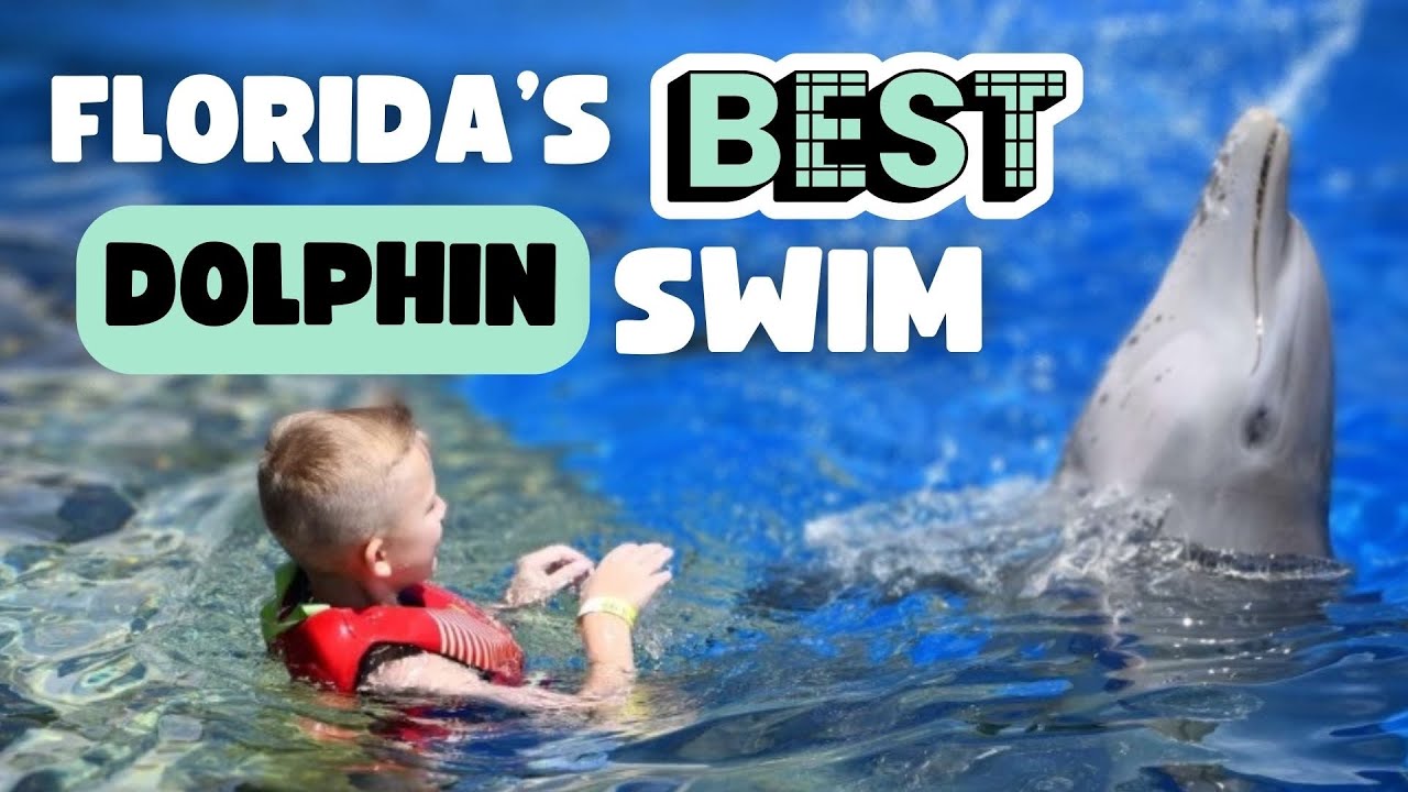 Swimming With Dolphins at Marineland in St. Augustine, Florida