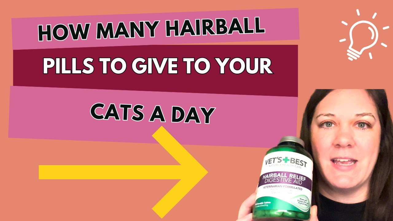 How Many Hairball Pills To Give To Your Cats A Day #ad Link in Description