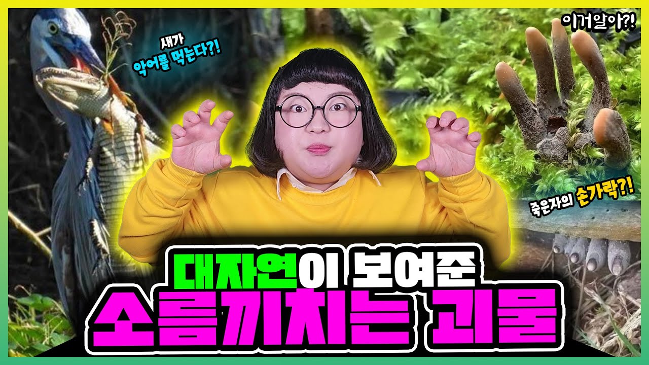 [이거알아?!-괴물](※놀람주의) 대자연🌴이 보여준 소름 끼치는 괴물👿 사진들!!🔥 이게 괴물이야 자연이야?!