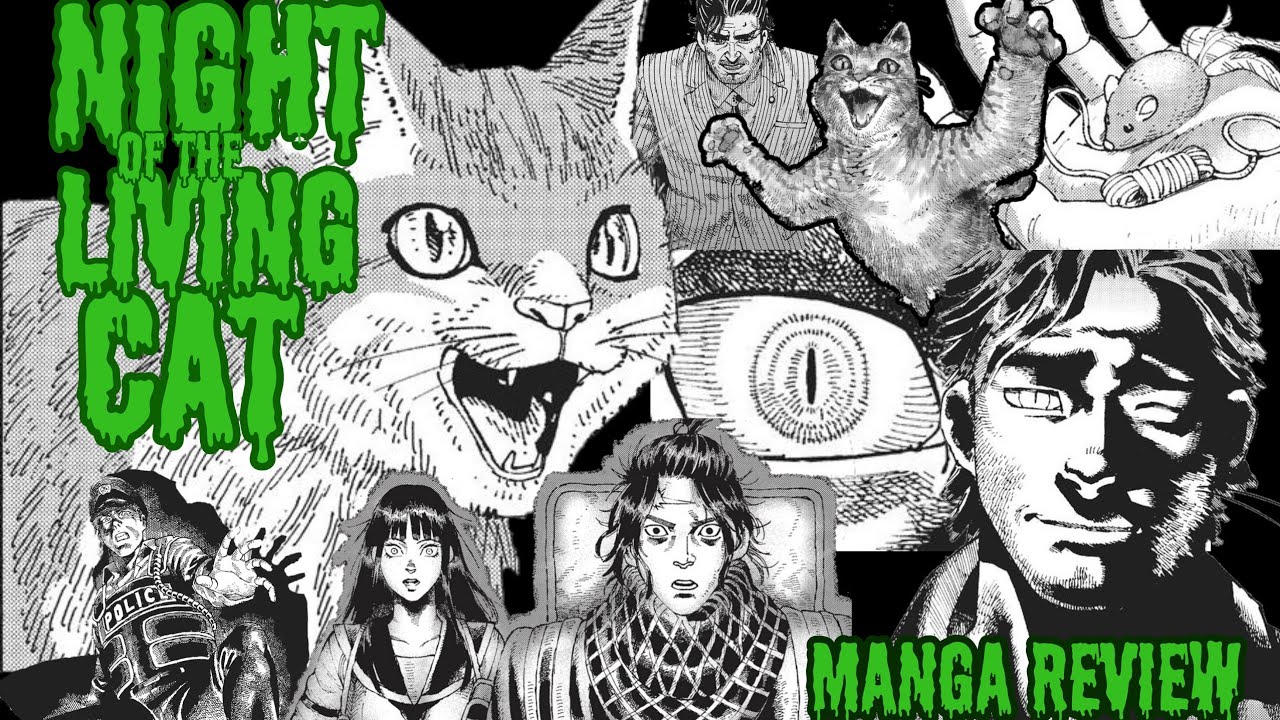 Night of the Living Cat: a feline love letter to the Zombie genre