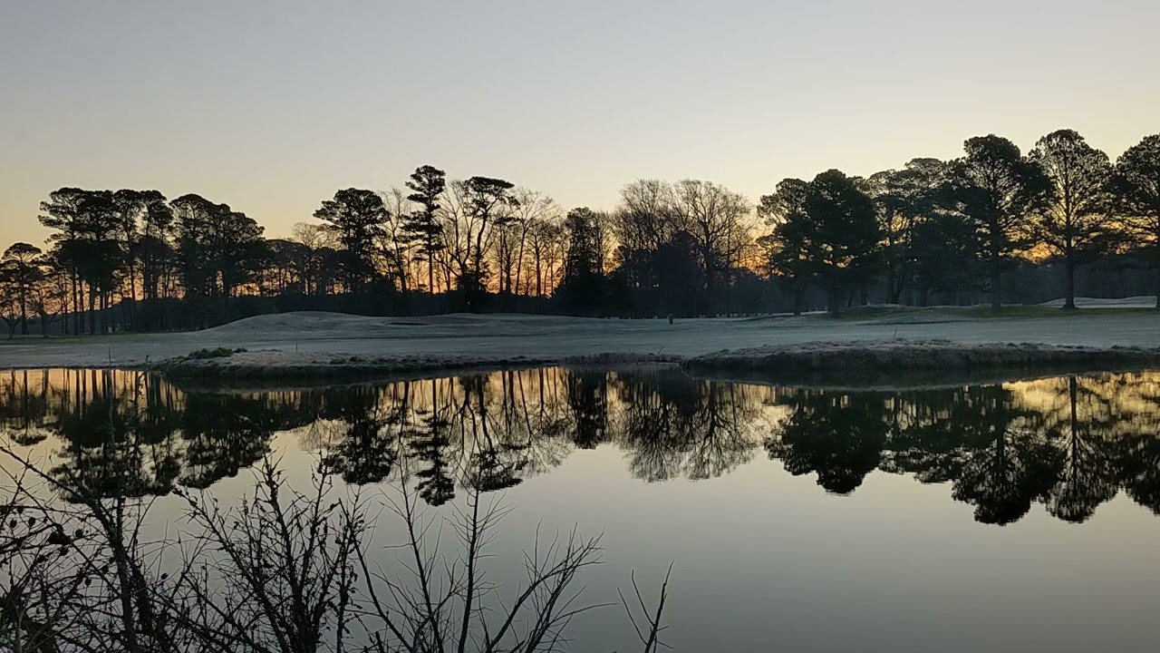 Call of the Wild 3-21-23 - Bird Calls at Dawn