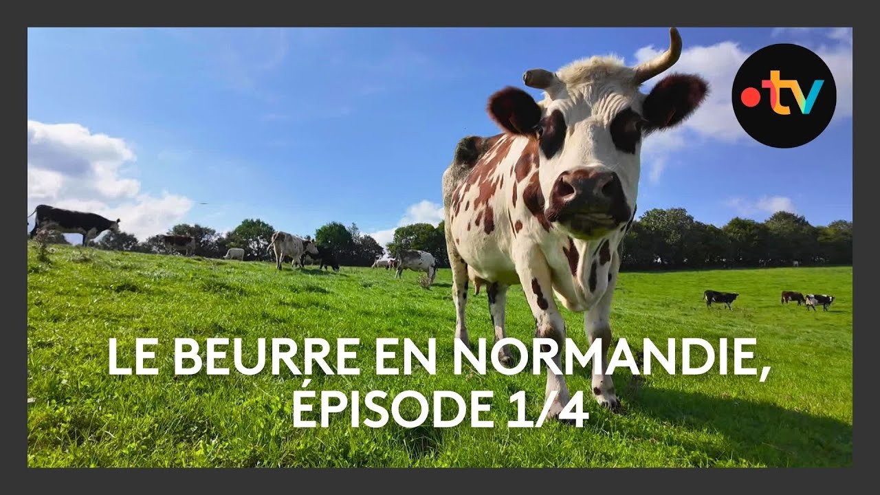 Le Beurre en Normandie, épisode 1/4 : De la graisse du pauvre aux tables gourmandes