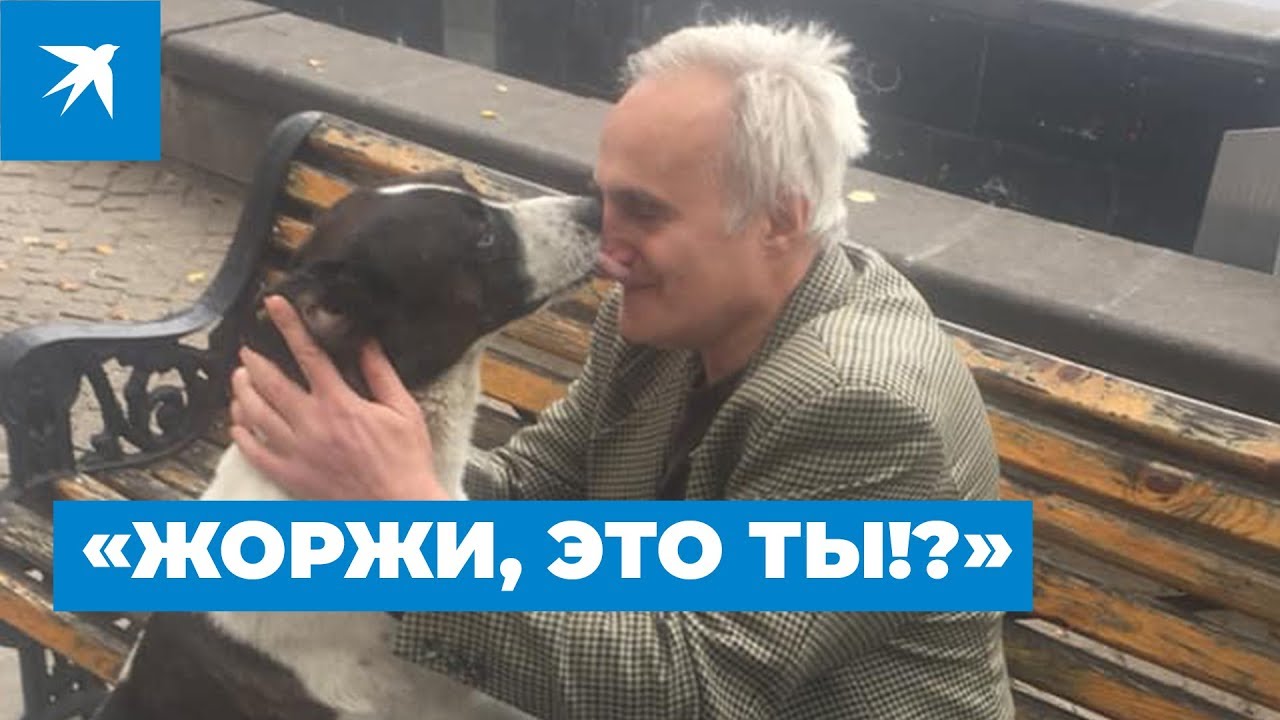 &laquo;Жоржи, это ты!?&raquo;