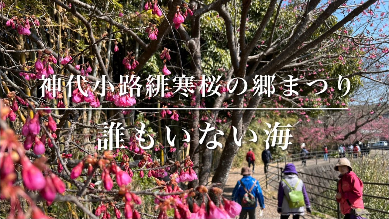 オカリナ「誰もいない海」緋寒桜の郷まつりopening