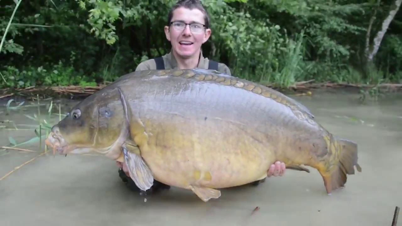 Session de folie en grand lac 3x20+/2x25+/2x30+ (Peche de la carpe / domaine public)