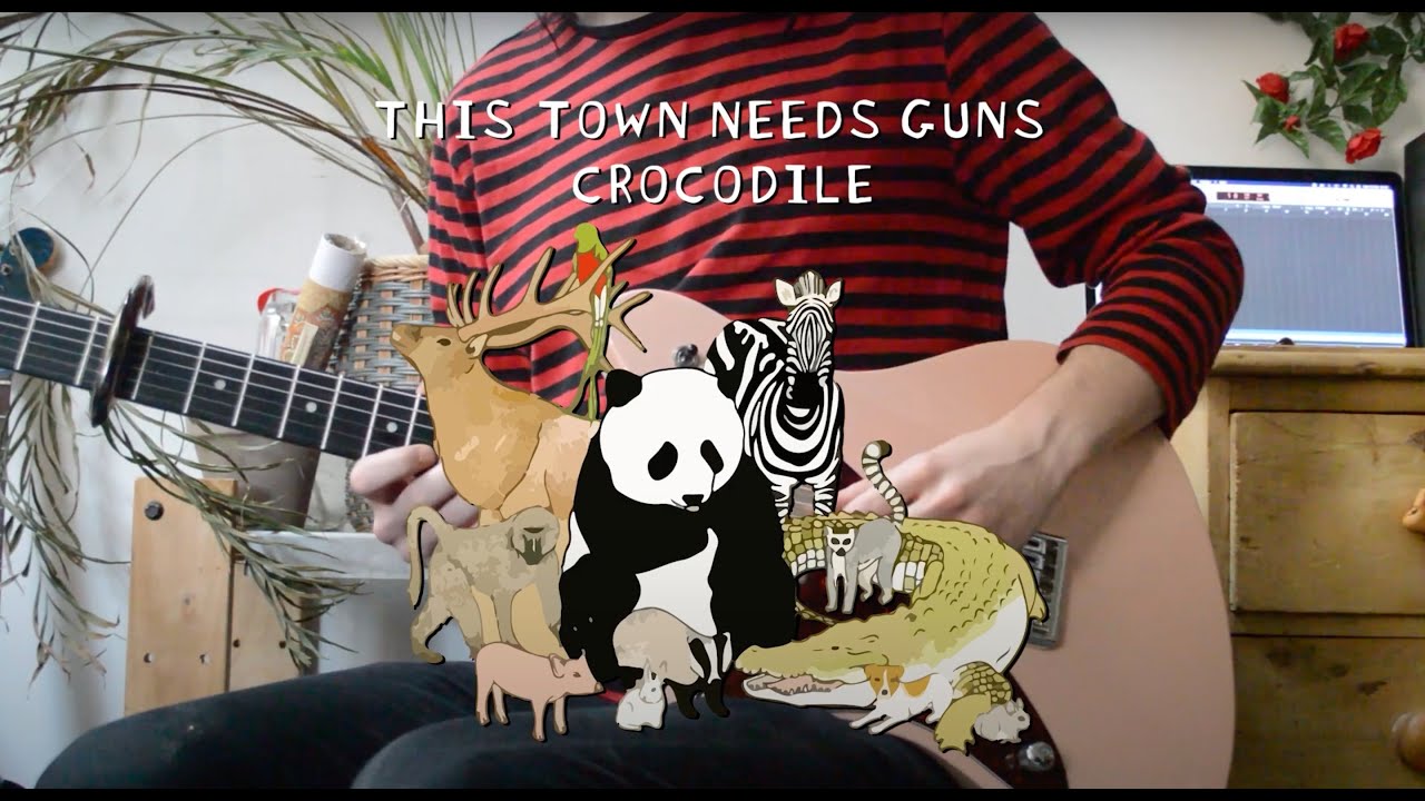 Crocodile - TTNG (Guitar Cover)