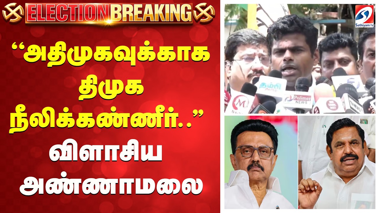 ''அதிமுகவுக்காக திமுக நீலிக்கண்ணீர்..'' - விளாசிய அண்ணாமலை