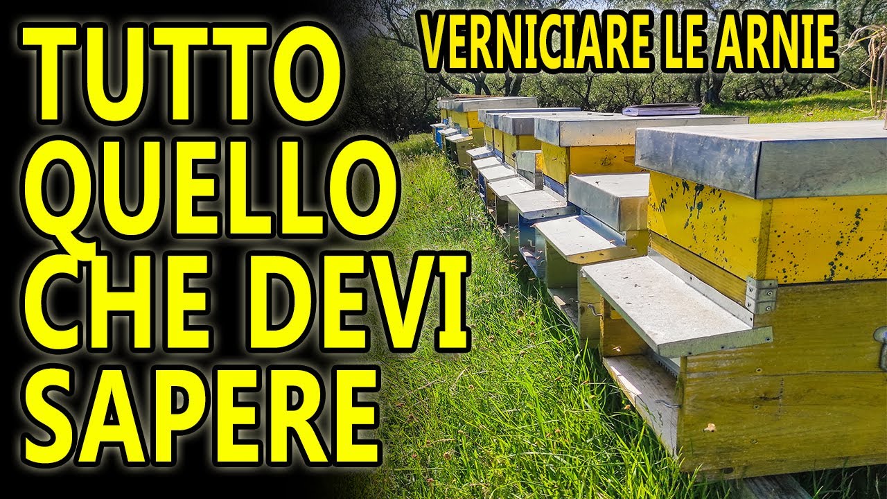 APICOLTURA: VERNICIARE LE ARNIE PER LE API