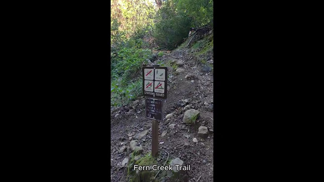 Mt Tam East Peak Hiking: #Pantoll #BootJack #MattDavis #RockSpring