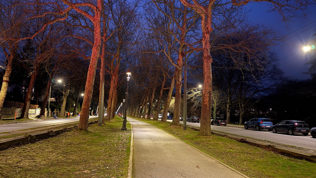 Silent evening walk