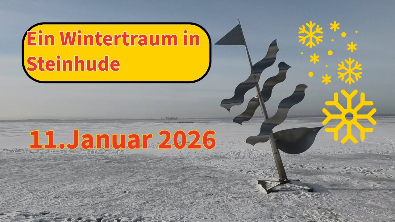 Ein Wintertraum in Steinhude am 11.01.2026