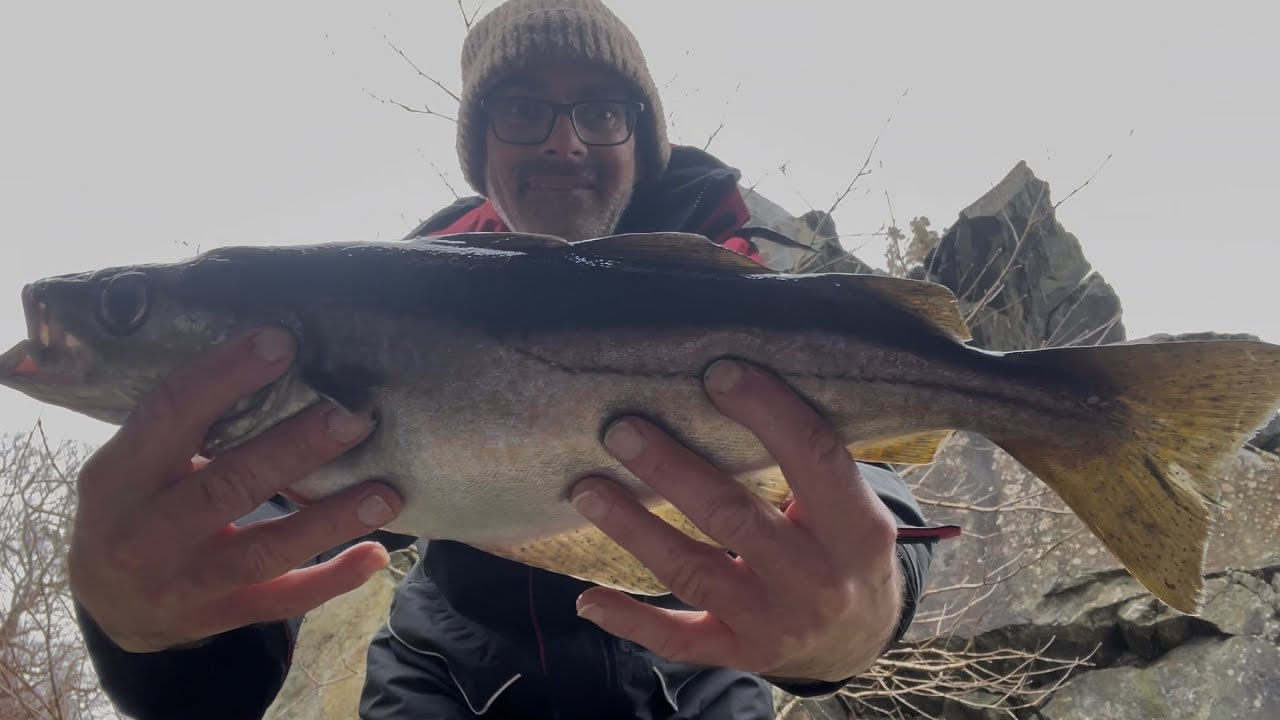 Sea Fishing Scotland Highland Lochs For Big Fish