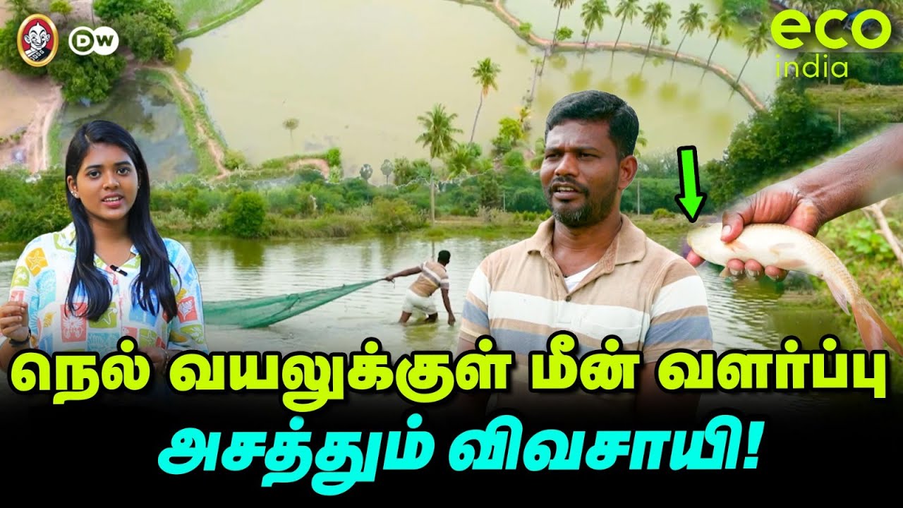 நெல் வயலில் மீன் வளர்ப்பு? | புதுக்கோட்டையில் சங்க கால விவசாய முறை | Eco India Season 2 | Vikatan DW