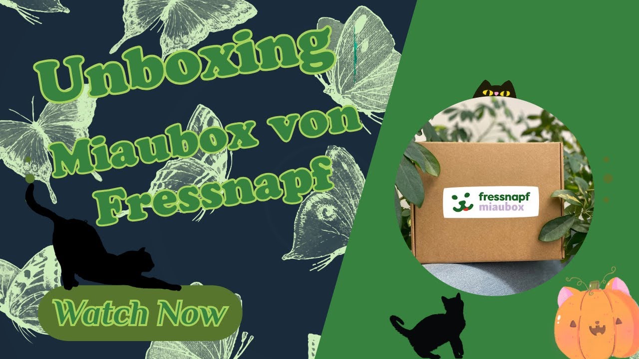 Unboxing! I 🐈Fressnapf Miaubox 🐈 I Oktober 2024