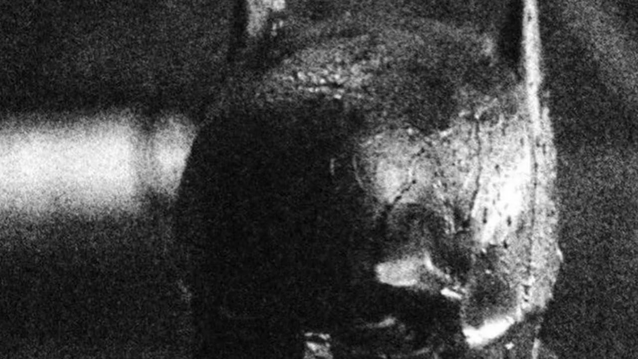 DillanPonders - underground king